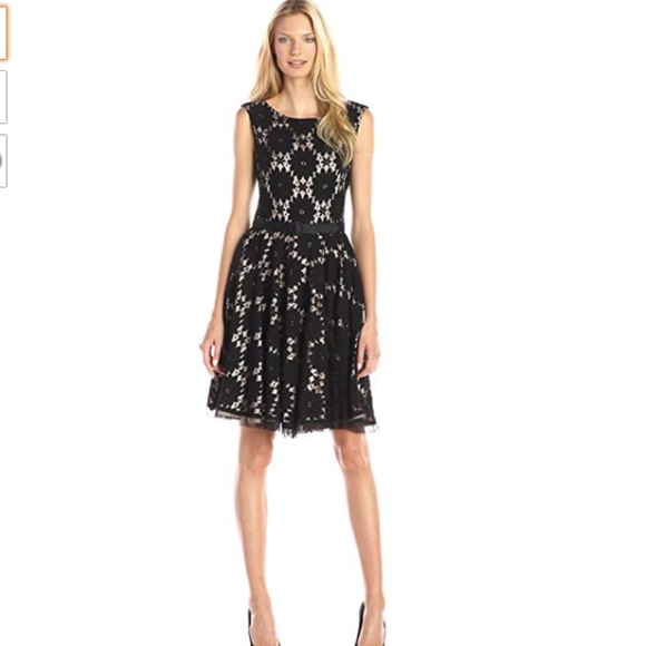 Eliza J Dresses & Skirts - NWT Eliza J Lace Fit and Flare Dress with Mesh 6